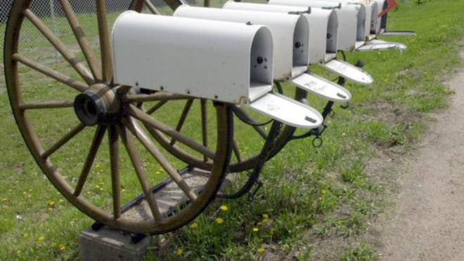 Rural scene.jpg